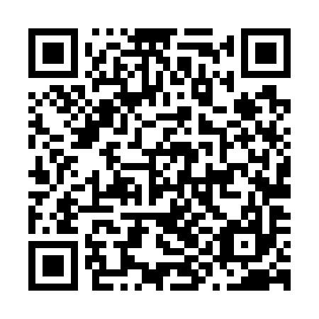 QR code for plate N9L 797
