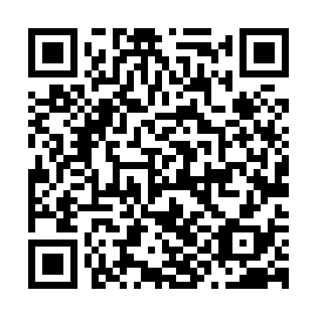 QR code for plate N9L 838