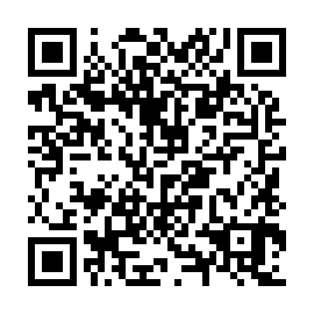QR code for plate N9L 980