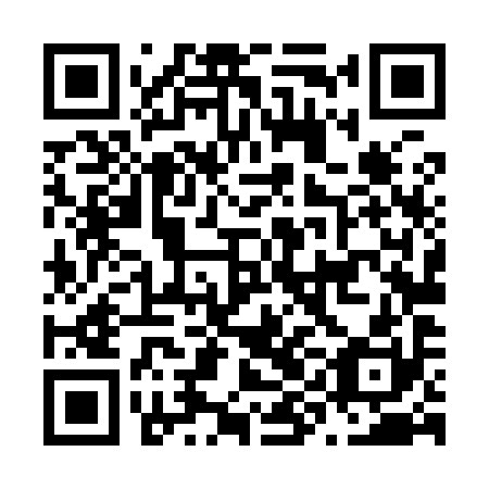 QR code for plate N9L 990
