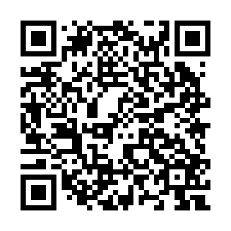 QR code for plate N9M 206