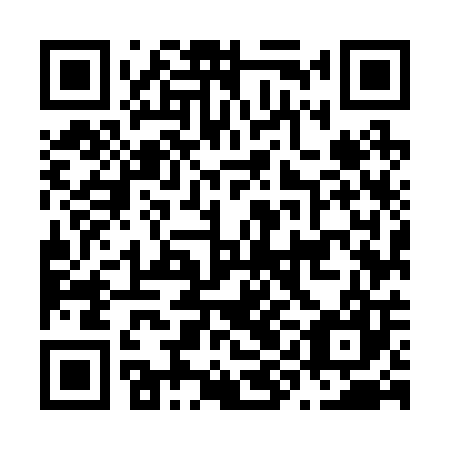 QR code for plate N9M 207