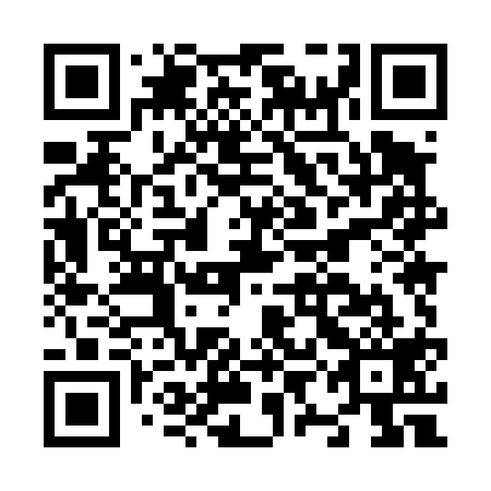 QR code for plate N9M 419