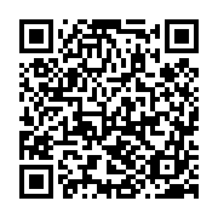 QR code for N9N 463