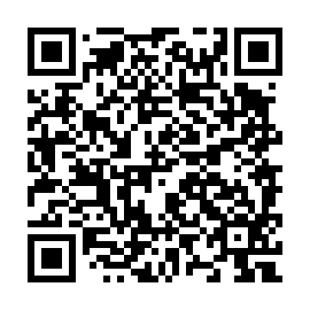QR code for plate N9N 496