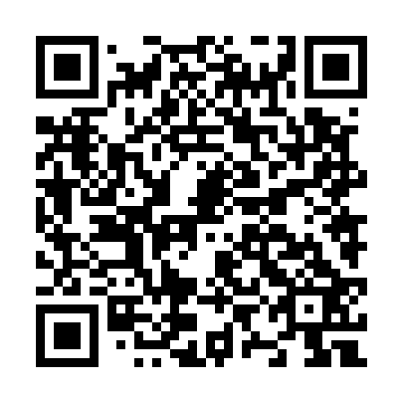 QR code for plate N9N 523