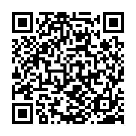 QR code for N9O333