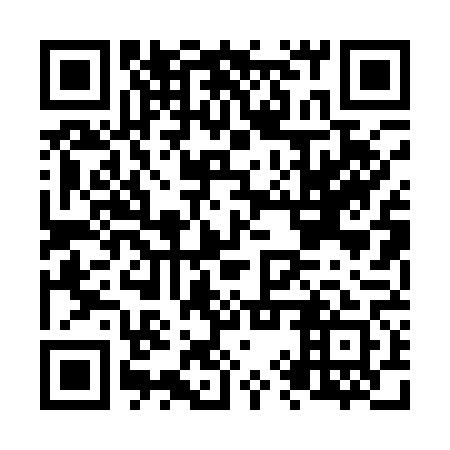 QR code for N9P 161
