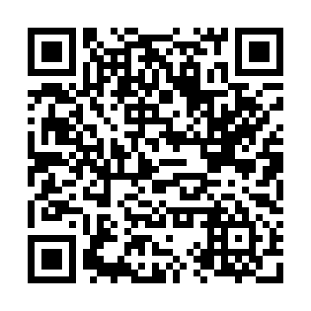 QR code for N9P 195