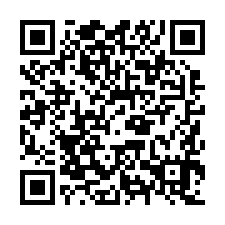 QR code for N9P 295