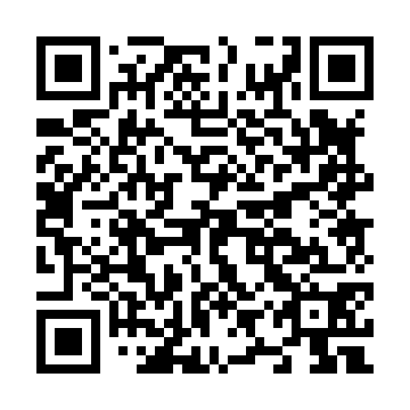 QR code for N9P 870