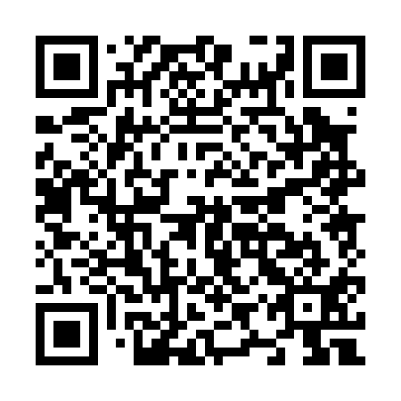 QR code for plate N9P 011