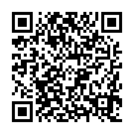 QR code for plate N9P 095