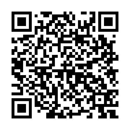QR code for plate N9P 133