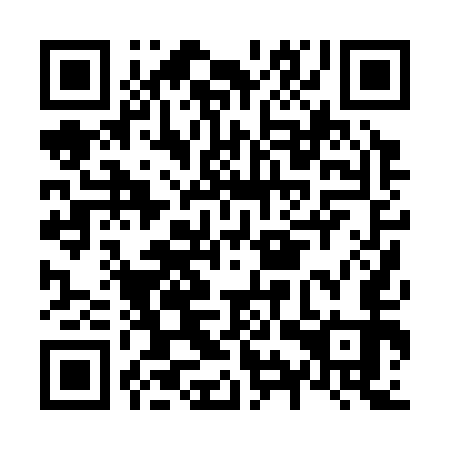 QR code for N9P353