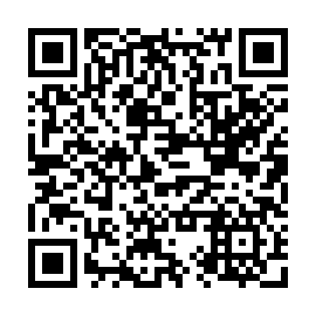 QR code for plate N9P 387