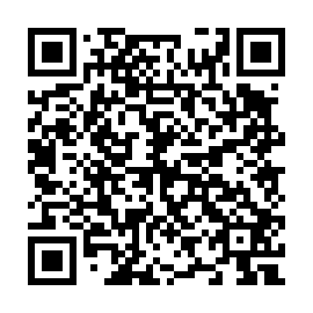 QR code for plate N9P 402