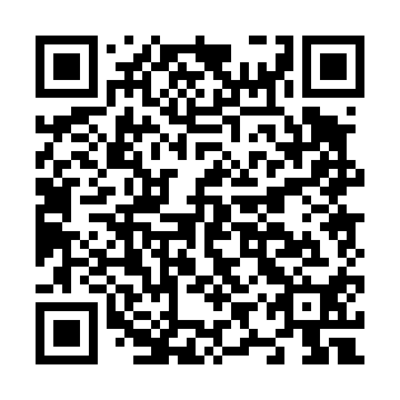 QR code for N9P410