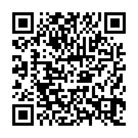 QR code for plate N9P 523