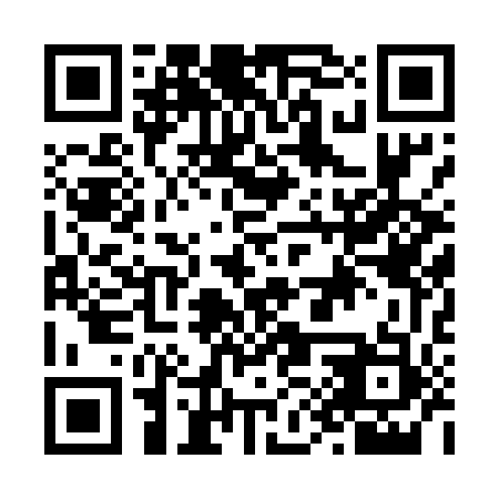 QR code for N9P553