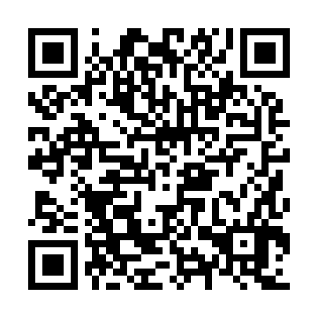 QR code for plate N9P 986