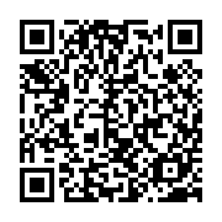 QR code for plate N9Q 005