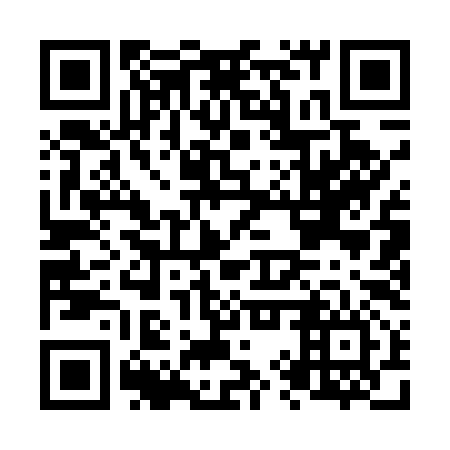 QR code for plate N9Q 596