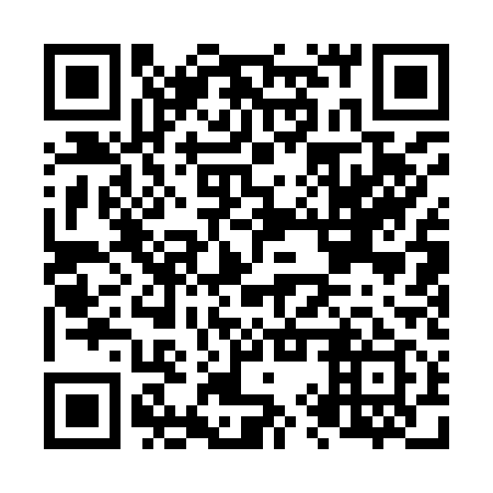 QR code for plate N9Q 919