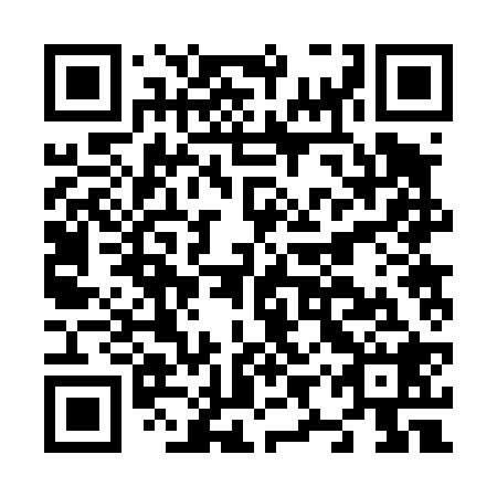 QR code for plate N9R 428