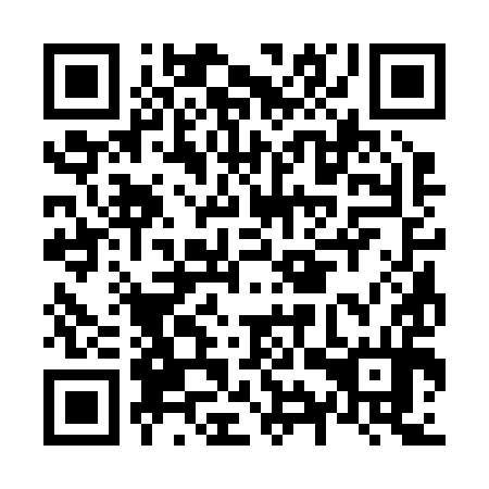 QR code for N9S 294