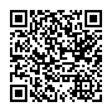 QR code for N9S 317