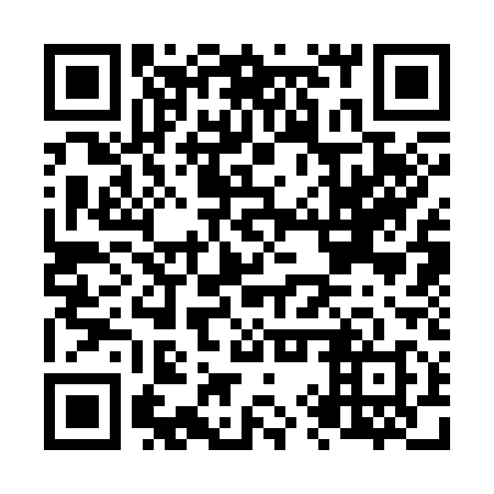 QR code for N9S 318