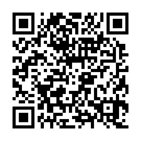 QR code for N9S 335