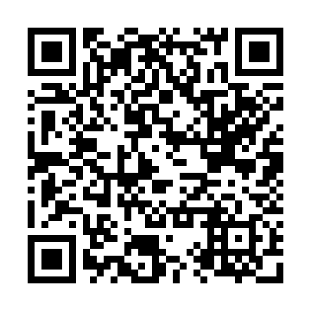 QR code for N9S 338