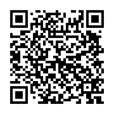 QR code for N9S 419