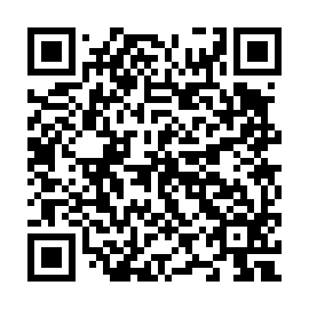 QR code for N9S 496