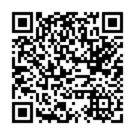 QR code for plate N9S 376