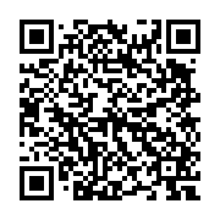 QR code for plate N9S 441