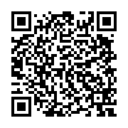 QR code for N9S499