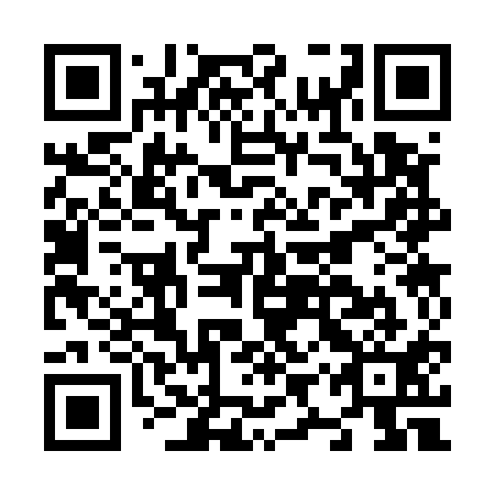QR code for plate N9S 511