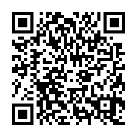 QR code for plate N9S 735