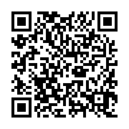 QR code for plate N9T 184