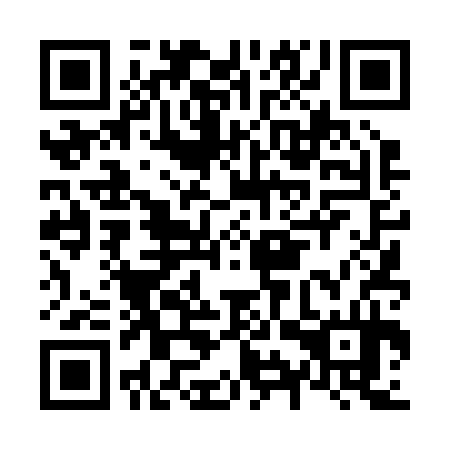 QR code for N9T234