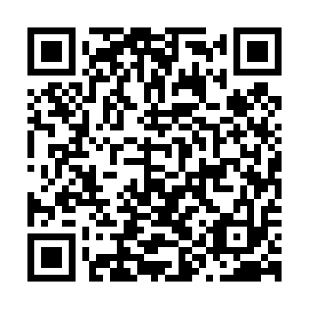 QR code for plate N9U 413