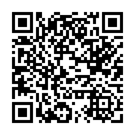 QR code for plate N9V 153