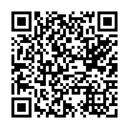QR code for plate N9V 228