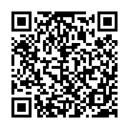QR code for plate N9V 452