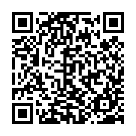 QR code for plate N9V 484