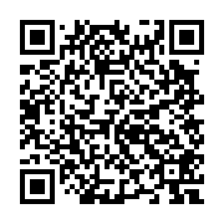 QR code for plate N9W 008