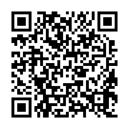 QR code for plate N9W 298